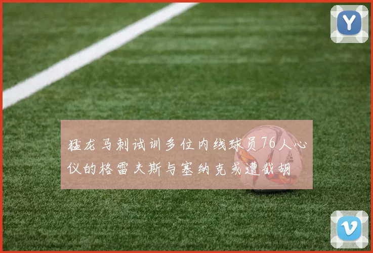猛龙马刺试训多位内线球员76人心仪的格雷夫斯与塞纳克或遭截胡